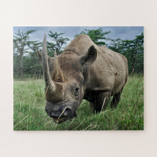 Schwarzes Nashorn Kenia Puzzle