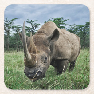 Schwarzes Nashorn Kenia Rechteckiger Pappuntersetzer
