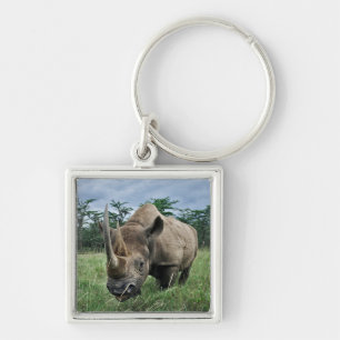 Schwarzes Nashorn Kenia Schlüsselanhänger