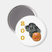 Schwarzes Neufundland - Boo - Magnet (Vorderseite/Rückseite)