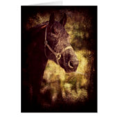 Schwarzes Pferd (Vorne)