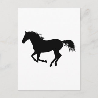 Schwarzes Pferd 1 Postkarte