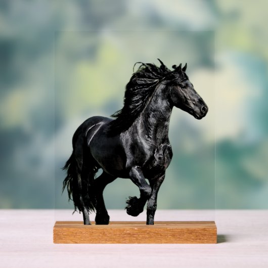 Schwarzes Pferd Acrylschild (Neutral)
