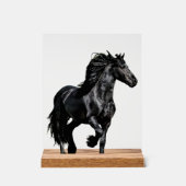 Schwarzes Pferd Acrylschild (Vorderseite)