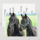 Schwarzes Pferd Einladung (Vorne/Hinten)