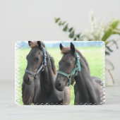 Schwarzes Pferd Einladung (Stehend Vorderseite)