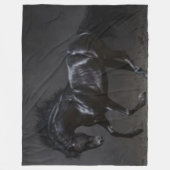 SCHWARZES PFERD FLEECEDECKE (Vorderseite)