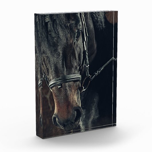 Schwarzes Pferd Fotoblock (Links)