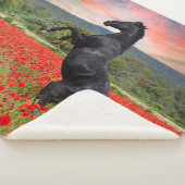 Schwarzes Pferd im Mohnfeld Sherpa-Decken Sherpadecke (3/4)