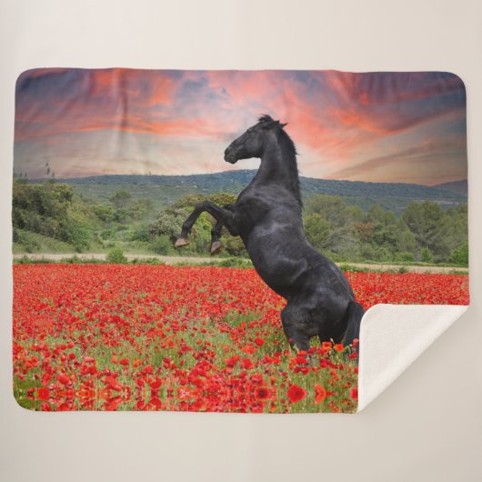 Schwarzes Pferd im Mohnfeld Sherpa-Decken Sherpadecke (Vorderseite (Horizontal))