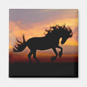 Schwarzes Pferd im Sonnenuntergang Magnet