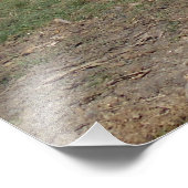 Schwarzes Pferd in der Weide Fotodruck (Ecke)