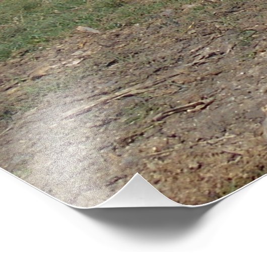 Schwarzes Pferd in der Weide Fotodruck (Ecke)