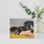 schwarzes Pferd in der Wüste Postkarte (Stehend Vorderseite)