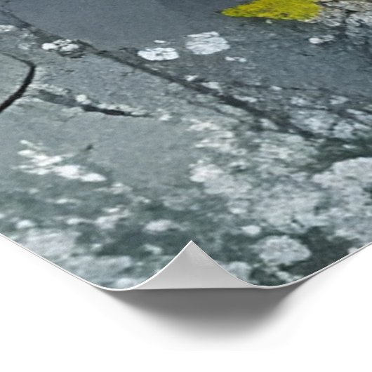 Schwarzes Pferd in Wildblumen Poster (Ecke)