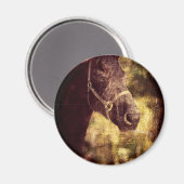 Schwarzes Pferd Magnet (Vorderseite/Rückseite)