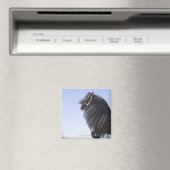 schwarzes Pferd mit langer Mähne Magnet (In Situ (Geschirrspüler))
