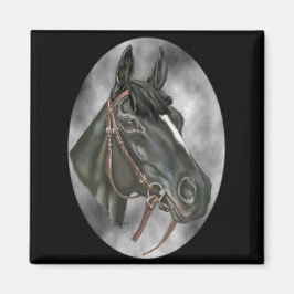 Schwarzes Pferd Pferdekraut Magnet