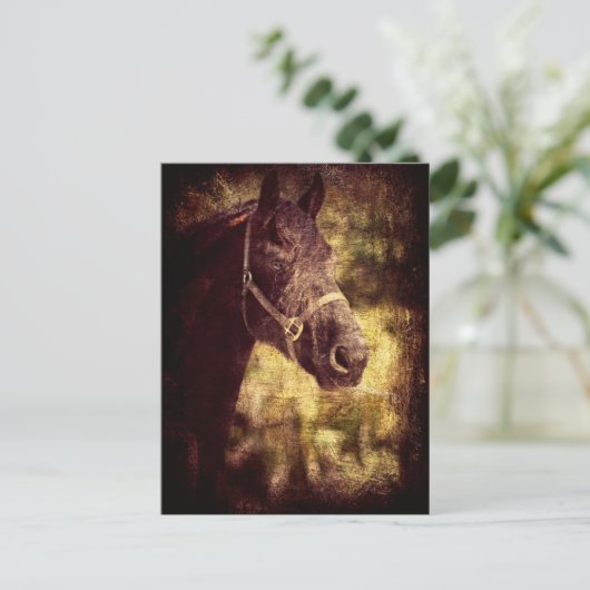 Schwarzes Pferd Postkarte (Stehend Vorderseite)