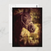 Schwarzes Pferd Postkarte (Vorne/Hinten)