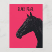 Schwarzes Pferd Postkarte (Vorderseite)