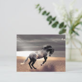 Schwarzes Pferd Sandy Beach Postüberquerung Postkarte (Stehend Vorderseite)