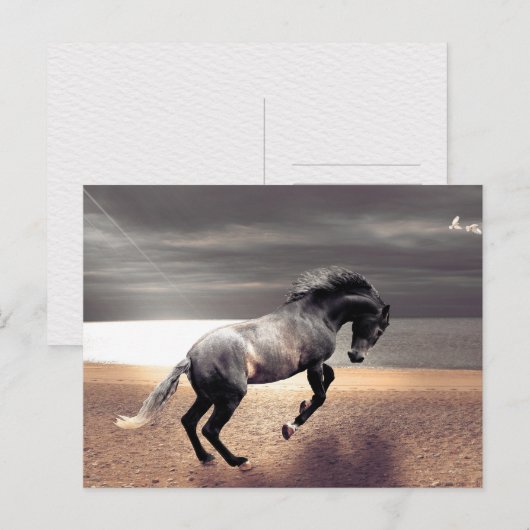 Schwarzes Pferd Sandy Beach Postüberquerung Postkarte (Vorne/Hinten)
