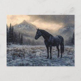 Schwarzes Pferd Schneegebiet Landschaftlich Postkarte