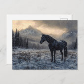 Schwarzes Pferd Schneegebiet Landschaftlich Postkarte (Vorne/Hinten)