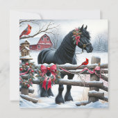 Schwarzes Pferd und Kardinal Weihnachten (Vorderseite)