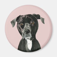 Schwarzes Pit Bull Dog Portrait