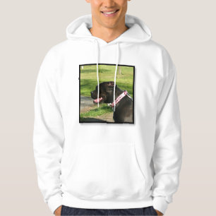 Schwarzes Pitbull Sweatshirt