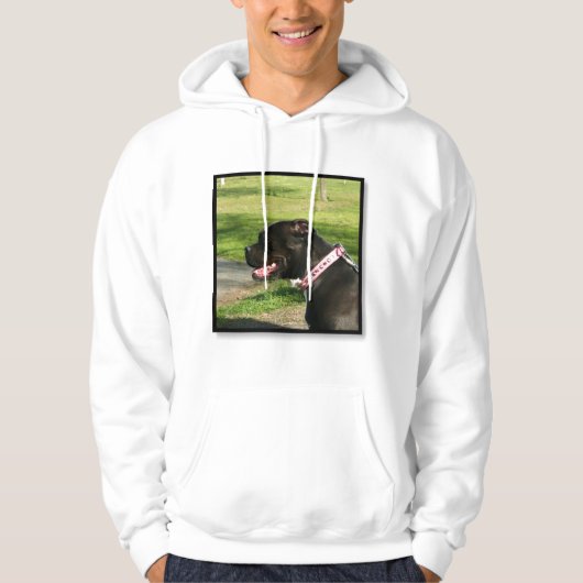 Schwarzes Pitbull Sweatshirt (Vorderseite)
