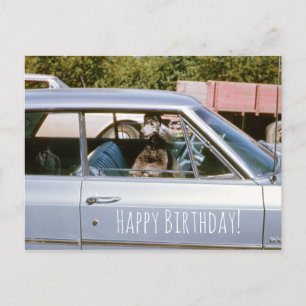 Schwarzes Poodle Niedlicher Welpenhund Auslauffens Postkarte