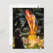 Schwarzes Poodle (T) Postkarte (Vorne/Hinten)