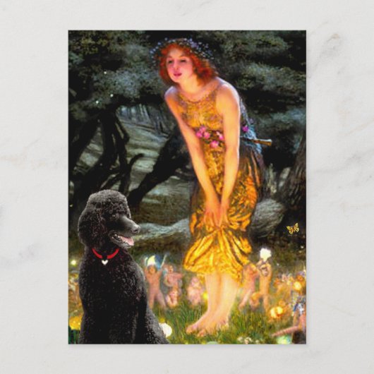 Schwarzes Poodle (T) Postkarte (Vorderseite)