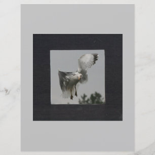 Schwarzes Quadrat auf grauem Foto