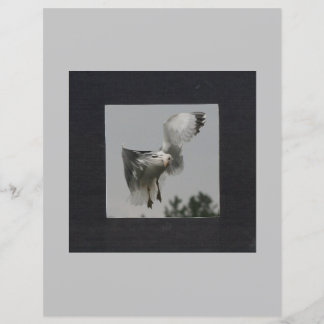 Schwarzes Quadrat auf grauem Foto