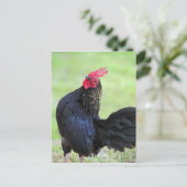 Schwarzes Quadrat Postkarte (Stehend Vorderseite)