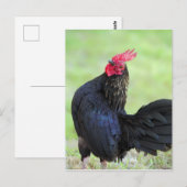 Schwarzes Quadrat Postkarte (Vorne/Hinten)