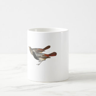 Schwarzes Redstart Kaffeetasse