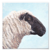 Schwarzes Schaf-Gesicht II Foto drucken (Vorne)