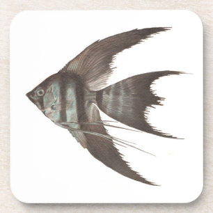 Schwarzes Schleier-Schwanzangelfish-Set von 6 Getränkeuntersetzer