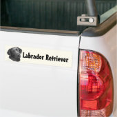 Schwarzes/Schokolade Labrador retriever Autoaufkleber (Auf Lkw)