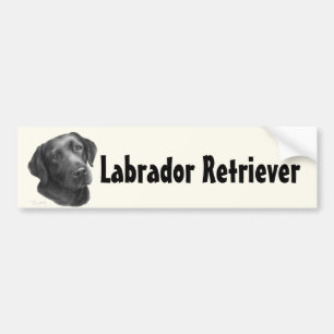 Schwarzes/Schokolade Labrador retriever Autoaufkleber