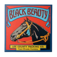 Schwarzes Schönheitsross auf rotem Hintergrund