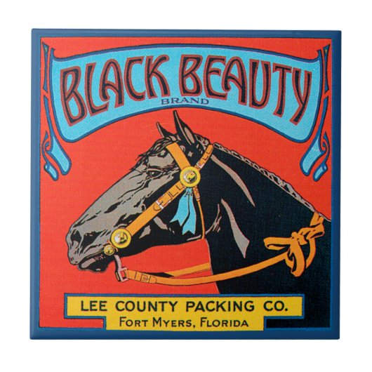 Schwarzes Schönheitsross auf rotem Hintergrund Fliese (Vorderseite)