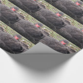 Schwarzes Schwanenwischpapier schlafen Geschenkpapier (Ecke)