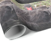 Schwarzes Schwanenwischpapier schlafen Geschenkpapier (Rolleneckpunkt)