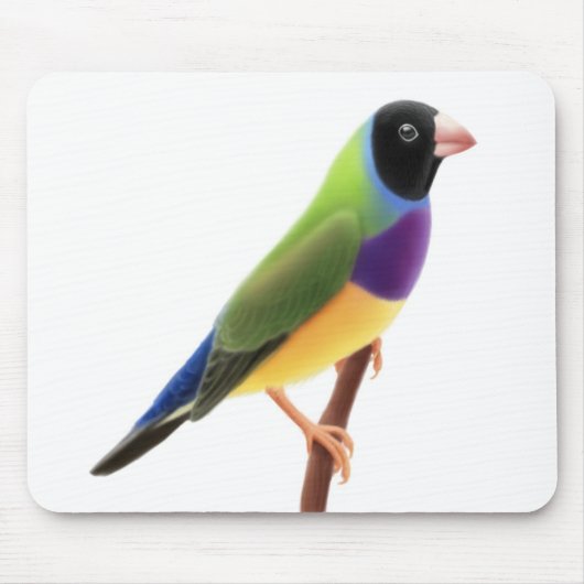 Schwarzes stellte Gouldian Fink Mousepad gegenüber (Vorne)